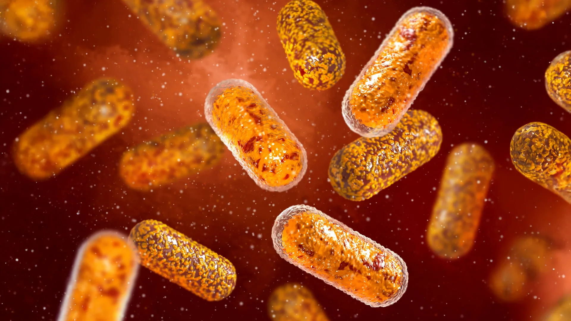 Resistant Bacteria in the Body for Years