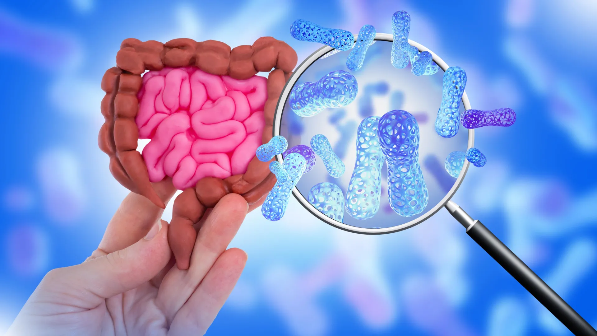 The Hidden Gut Effects of Common Sweeteners