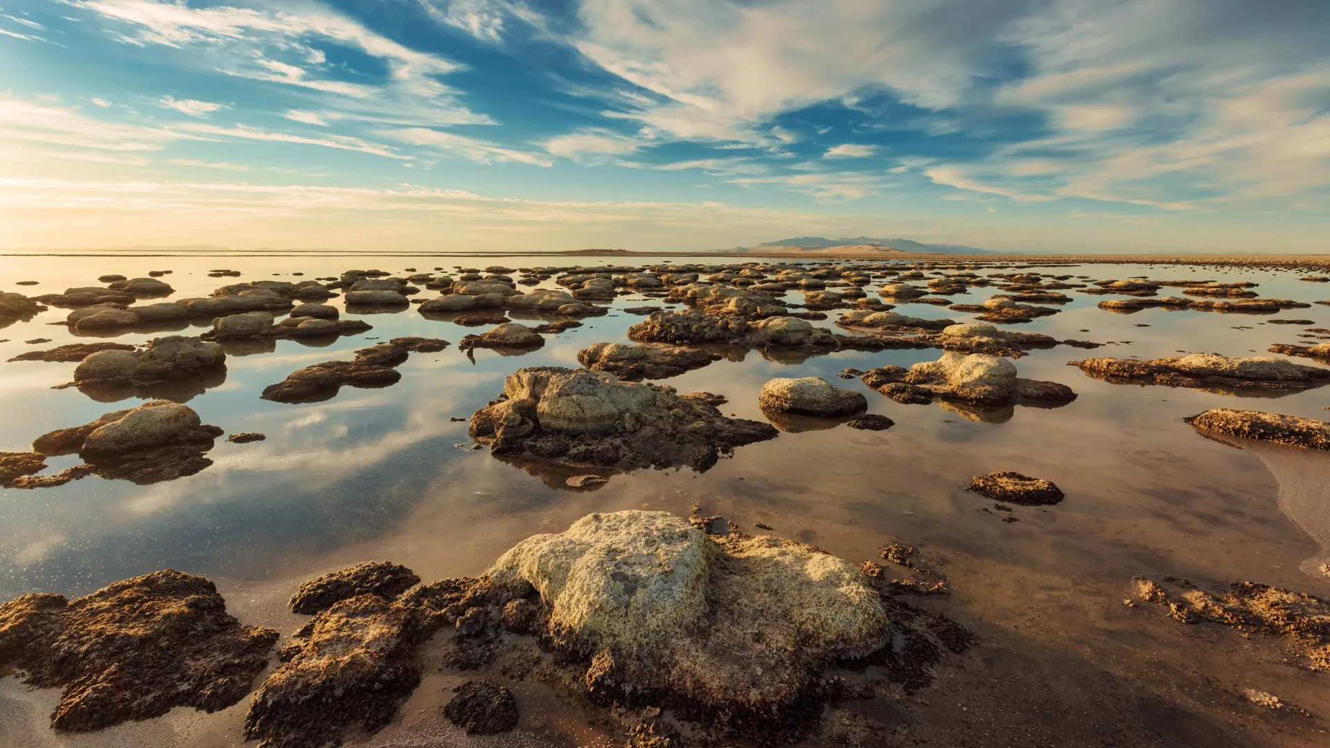 Hidden Species Found in the Great Salt Lake