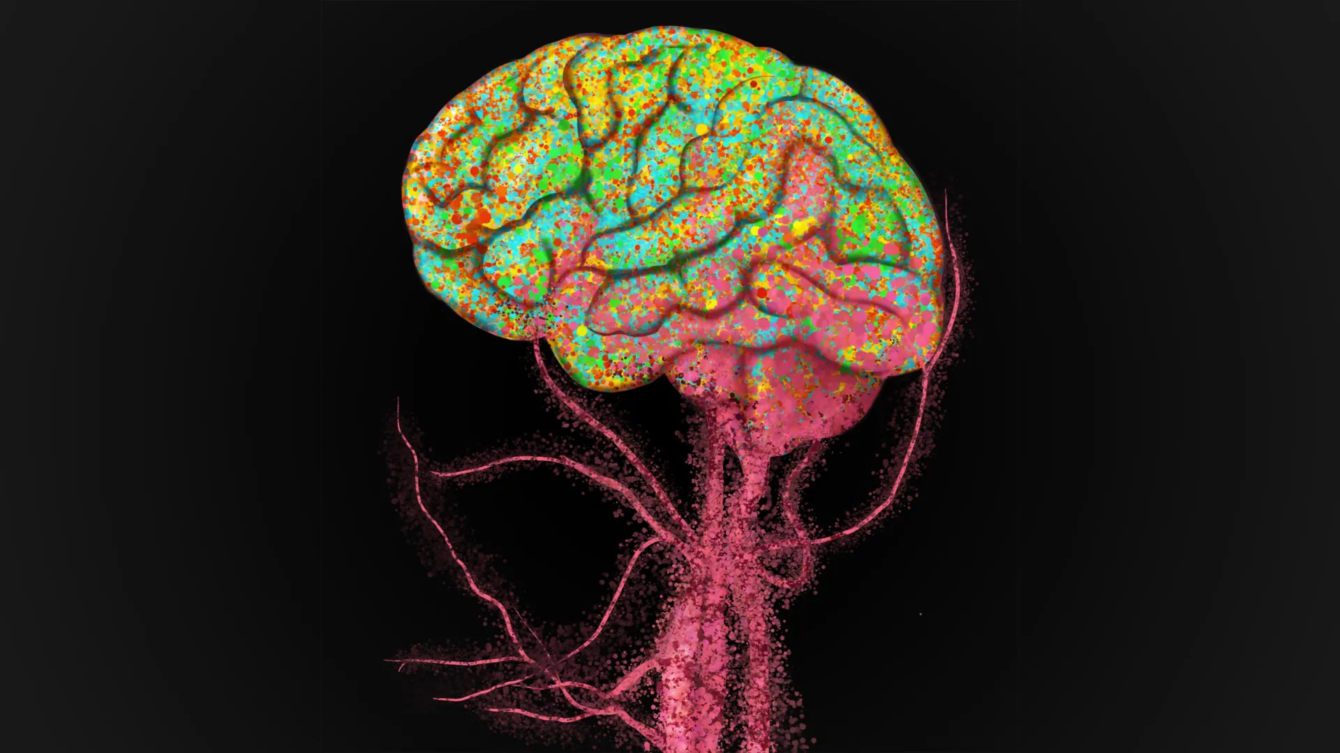 Immune Cells Flood Into the Aging Brain
