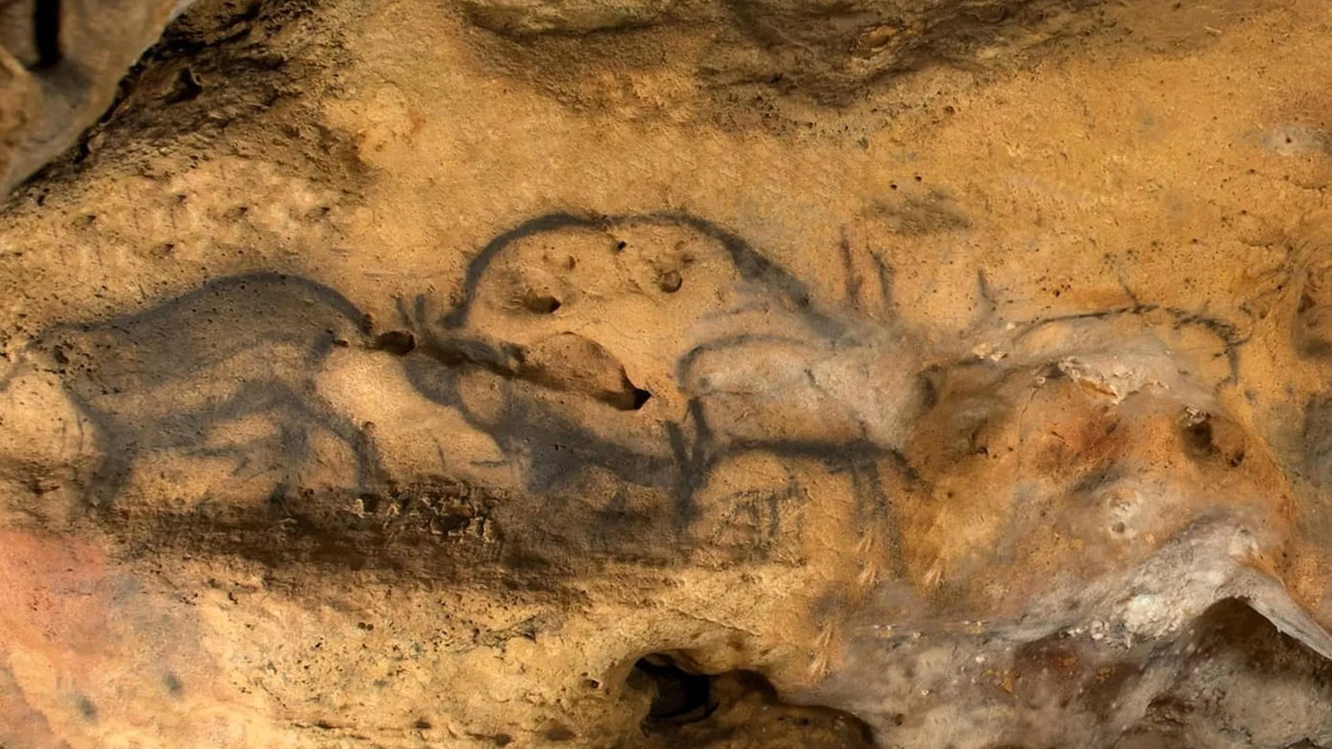 Hidden Charcoal Dates Ancient Cave Art