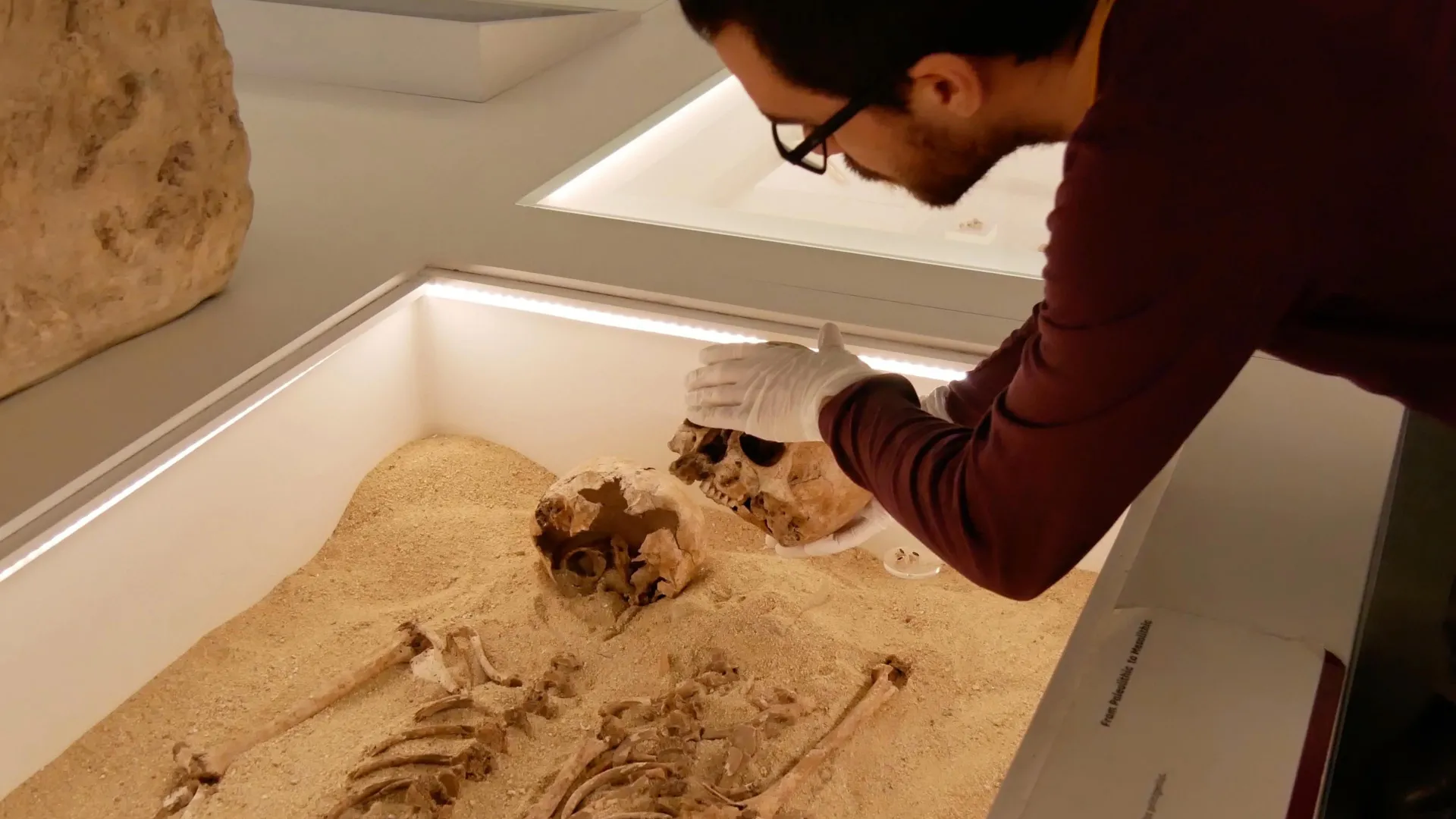 Ancient DNA Solves 12,000-Year-Old Mystery