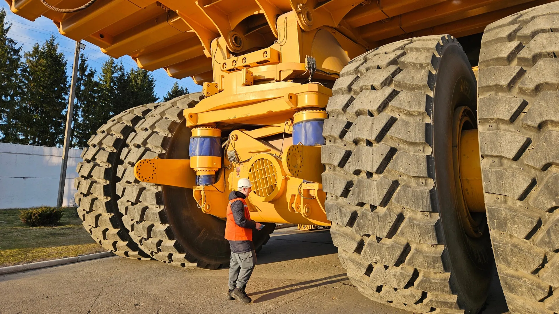 Scientists Crack the Rubber Mystery