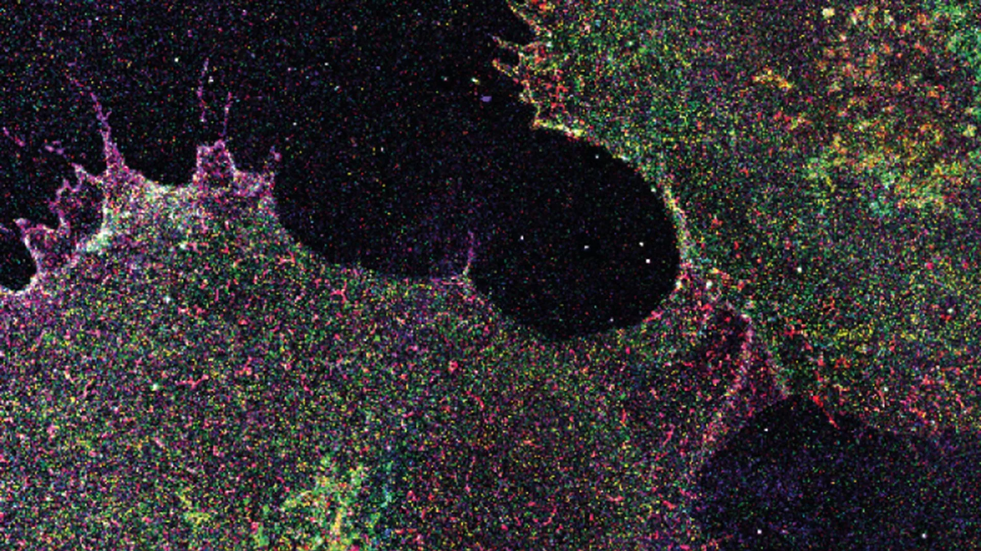 The Hidden Sugar Code of Cells