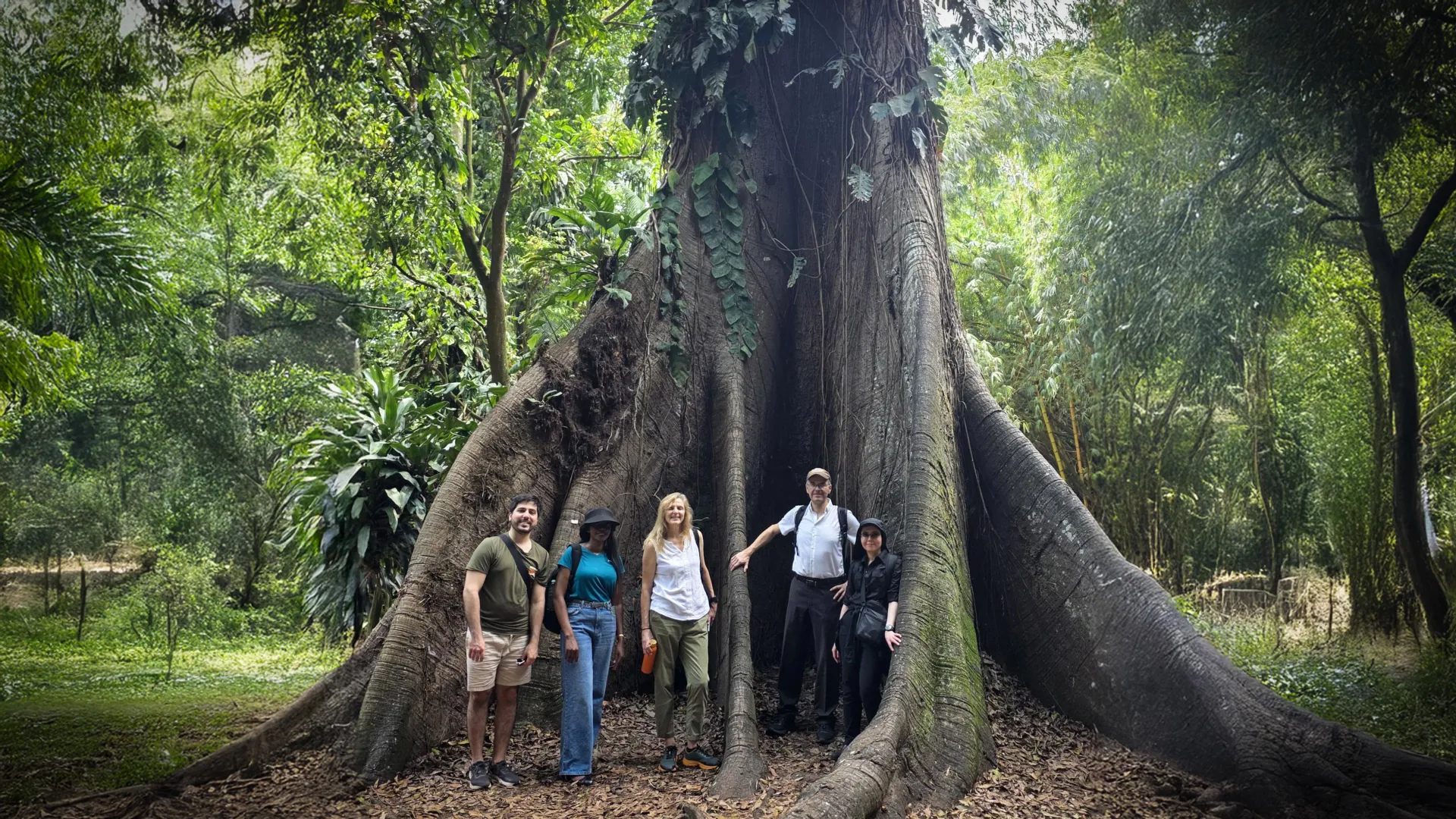 Africa’s Forests Turn Carbon Source