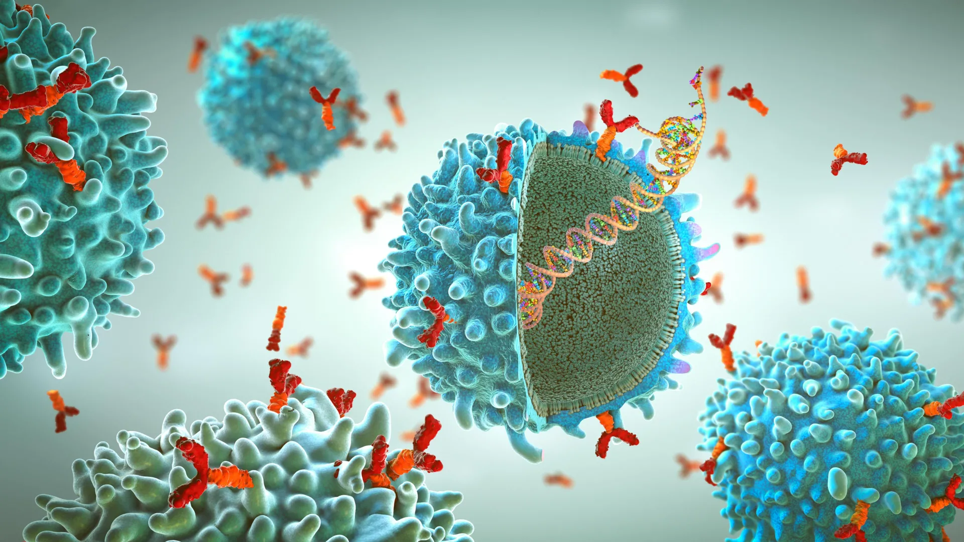 Hidden Weak Spots in HIV and Ebola Revealed