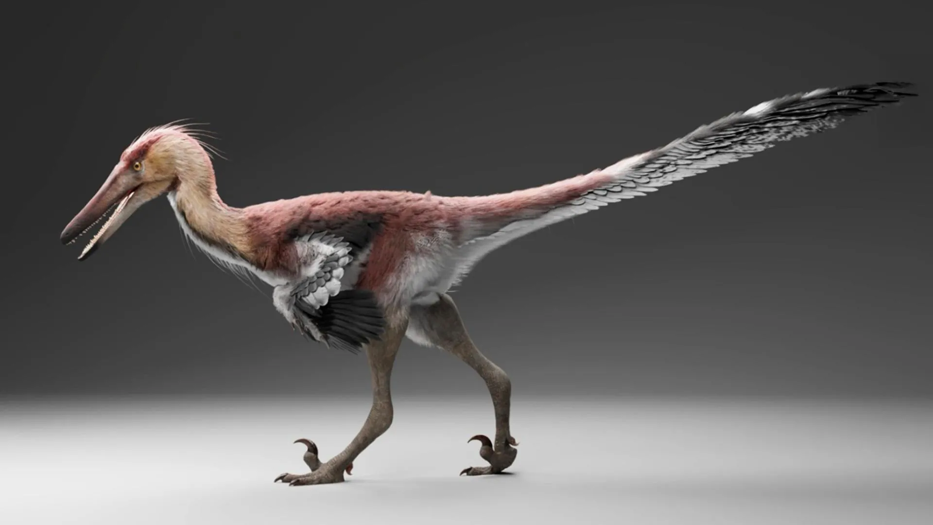 New Dinosaur Hunted Fish Like a Heron