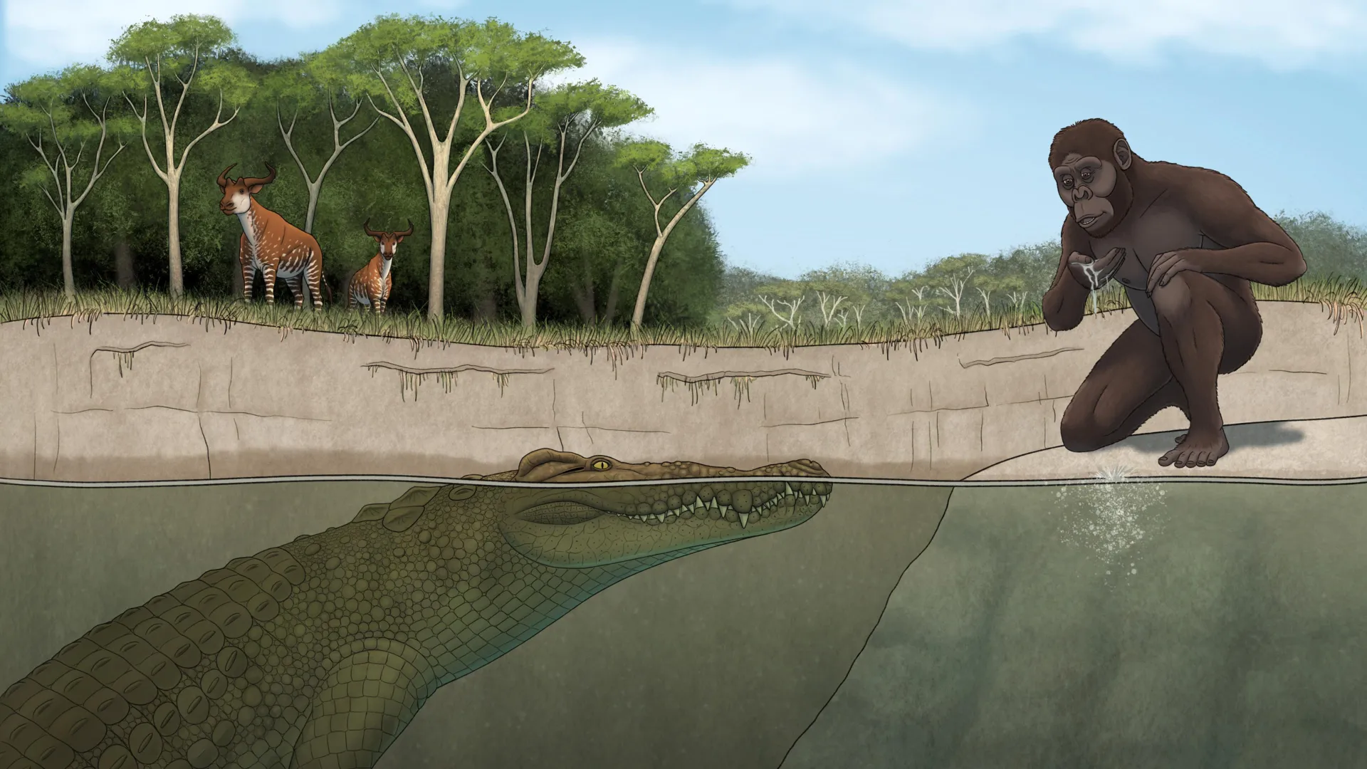 Giant Crocodile Hunted Human Ancestors