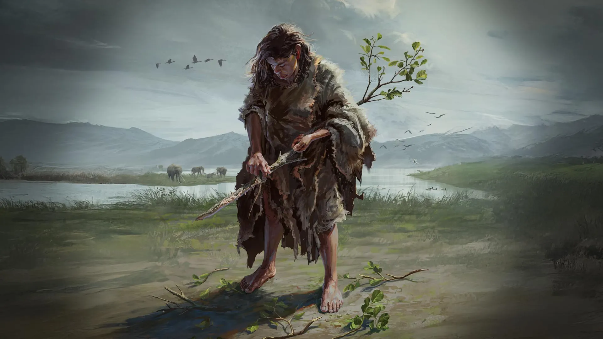 Humans Used Wooden Tools 430,000 Years Ago