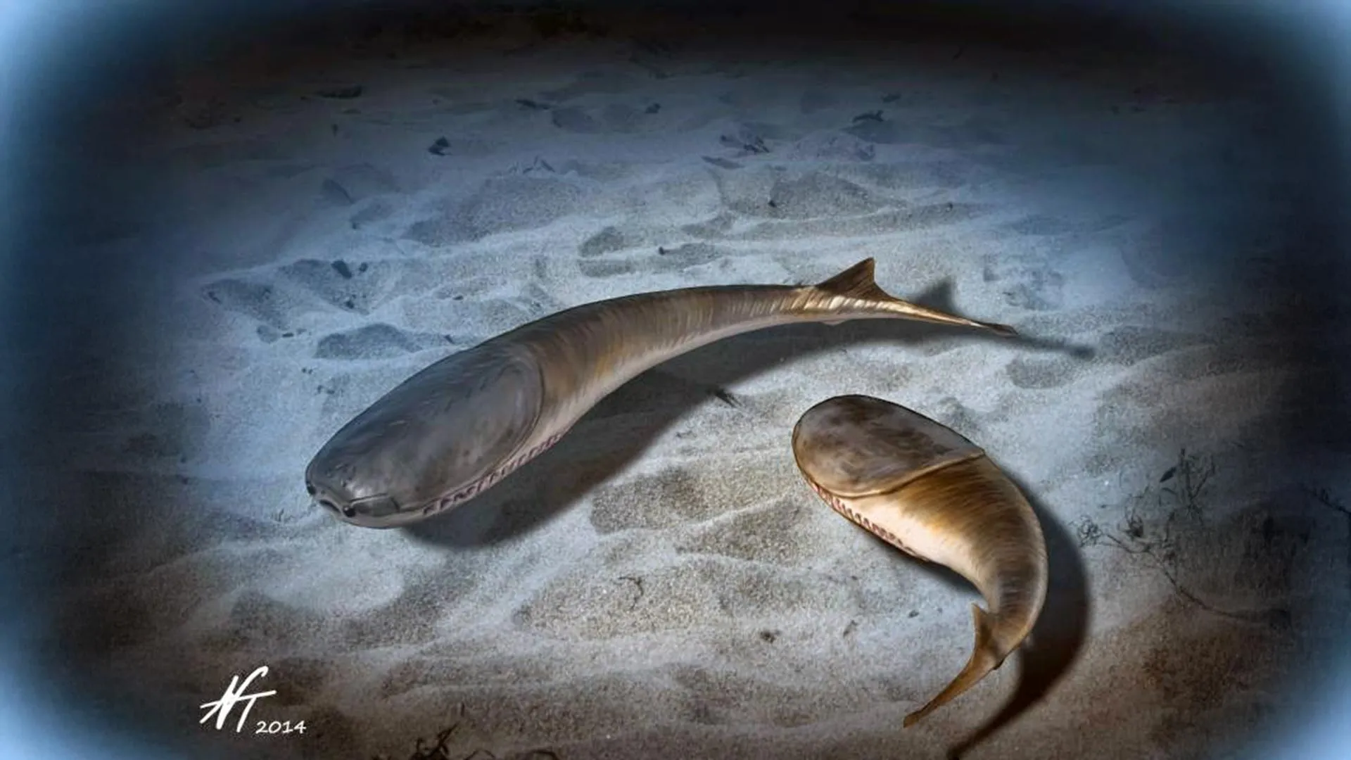 When the Oceans Died and Life Changed Forever