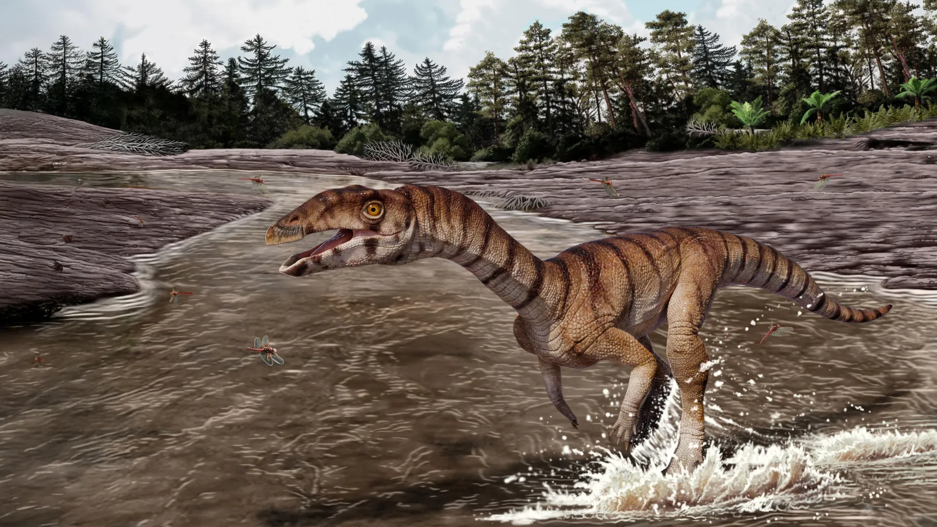 Ostrich-Like Crocodile Cousin Discovered