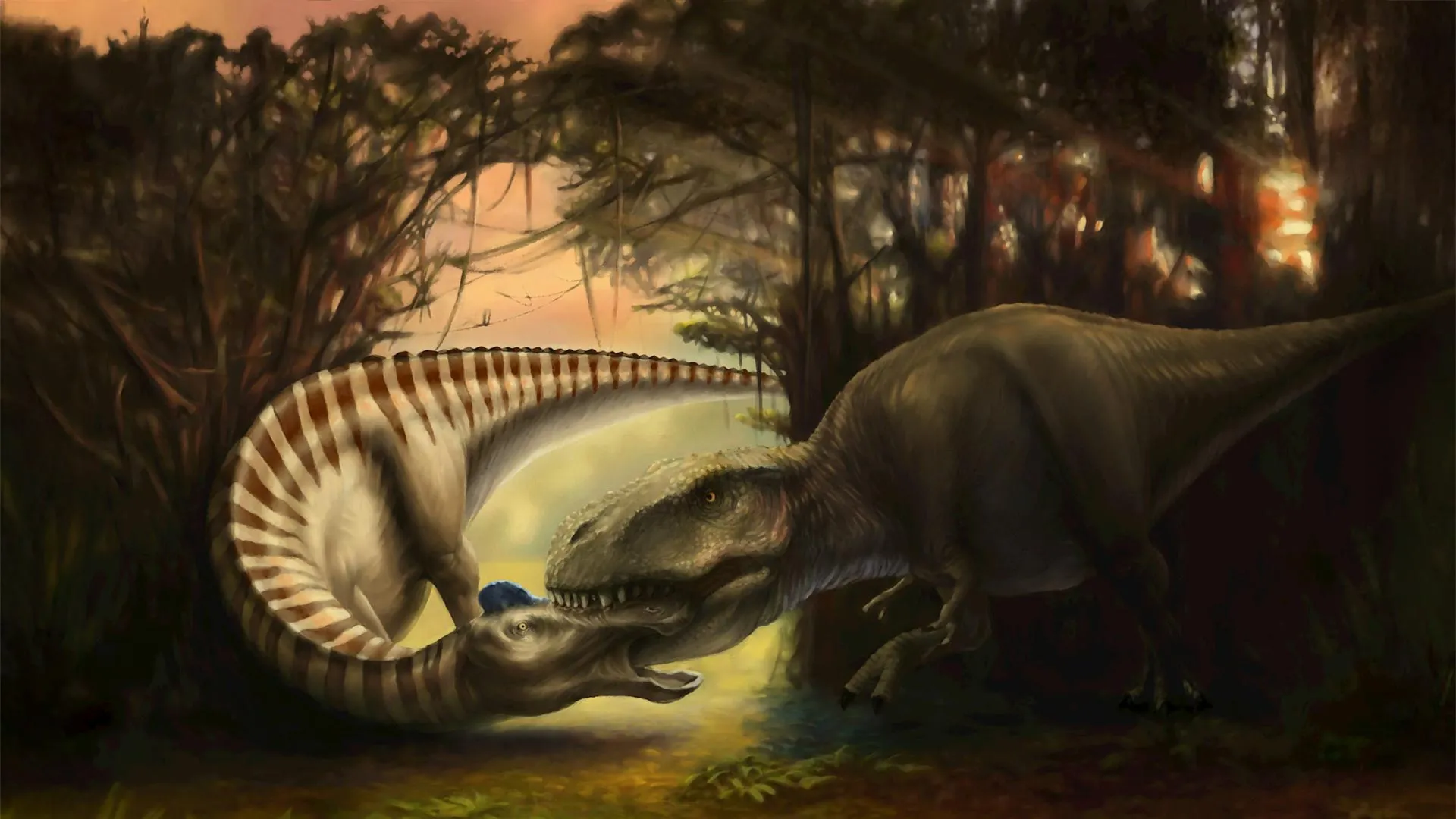 T. Rex Tooth Found in Dinosaur Skull