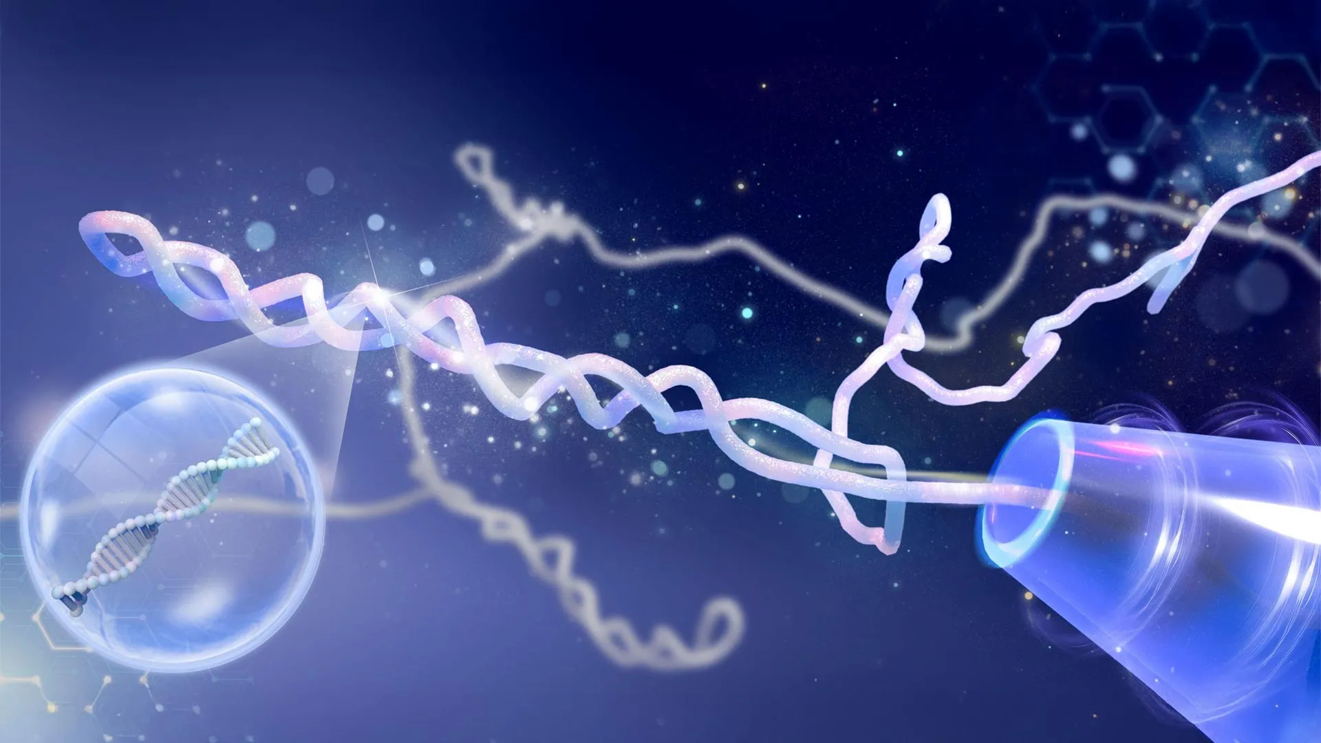 Scientists Were Wrong About DNA Knots