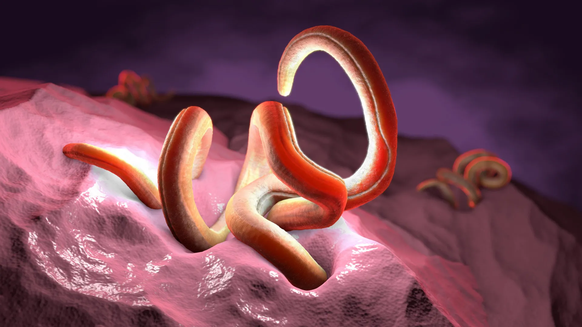 Fiber Keeps Gut Worms Fighting Inflammation