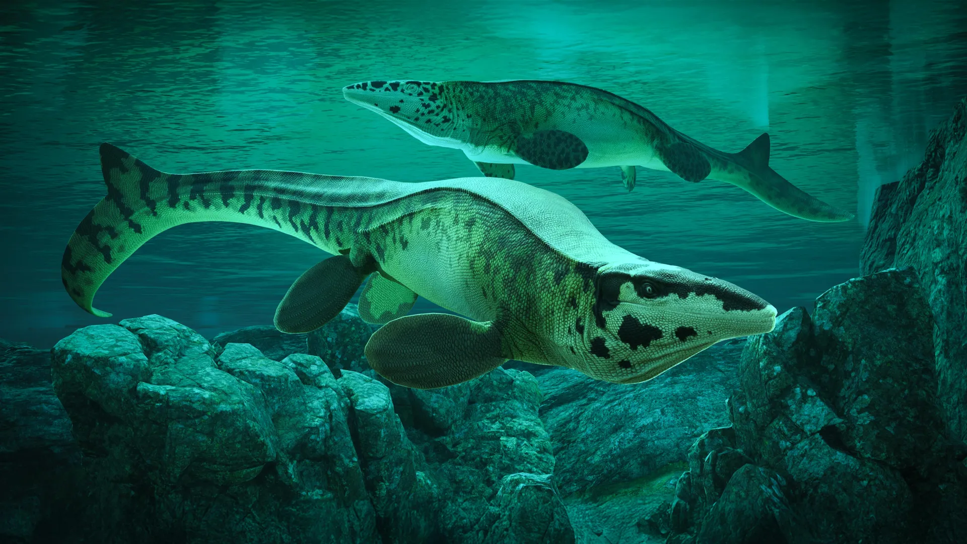 Tylosaurus rex Ruled the Seas