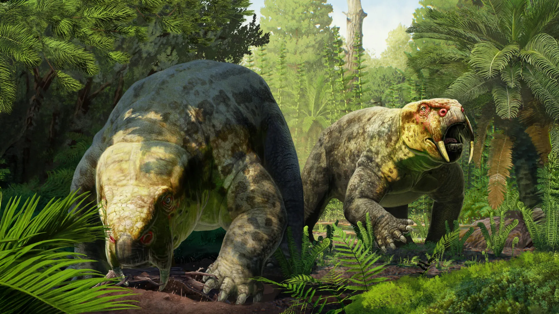 New Fossil Rewrites Dinosaur History