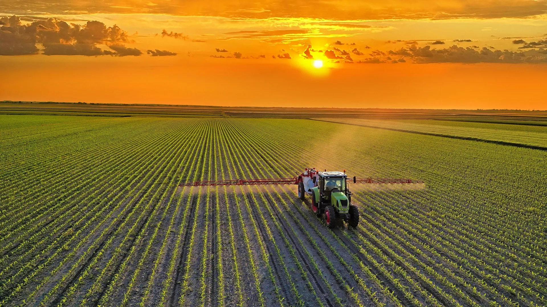 Healthier Diets Could Reshape Farming