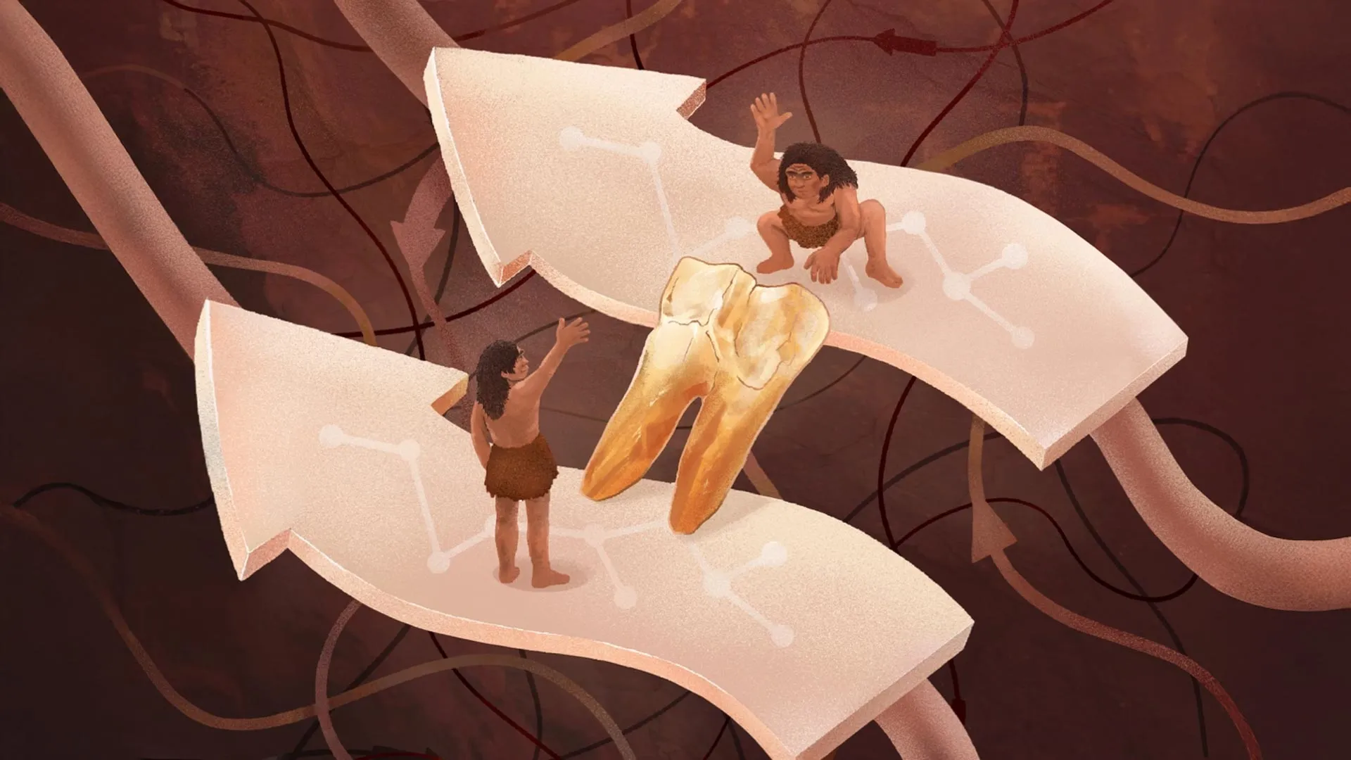 400,000-Year-Old Teeth Reveal a Secret