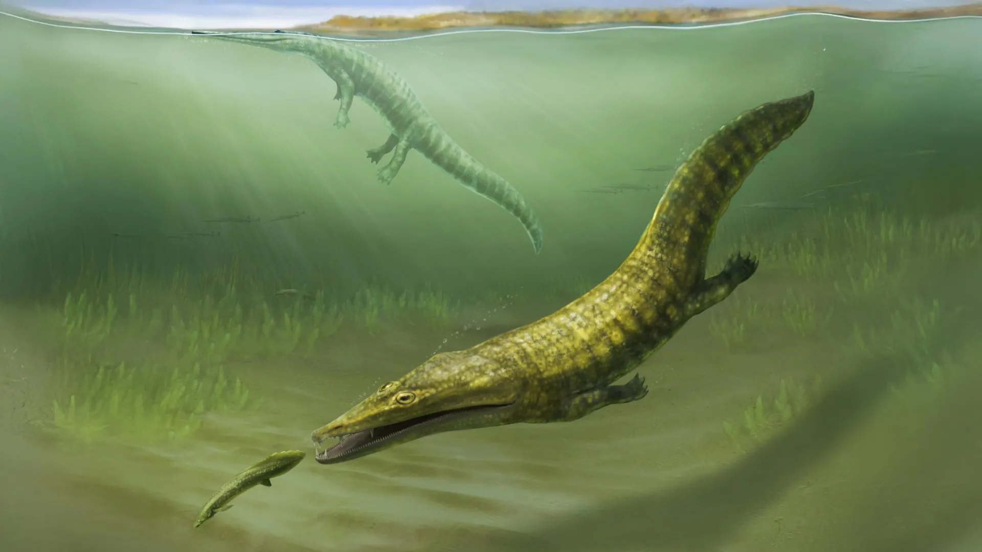 Lost Fossils Reveal Sea Monsters