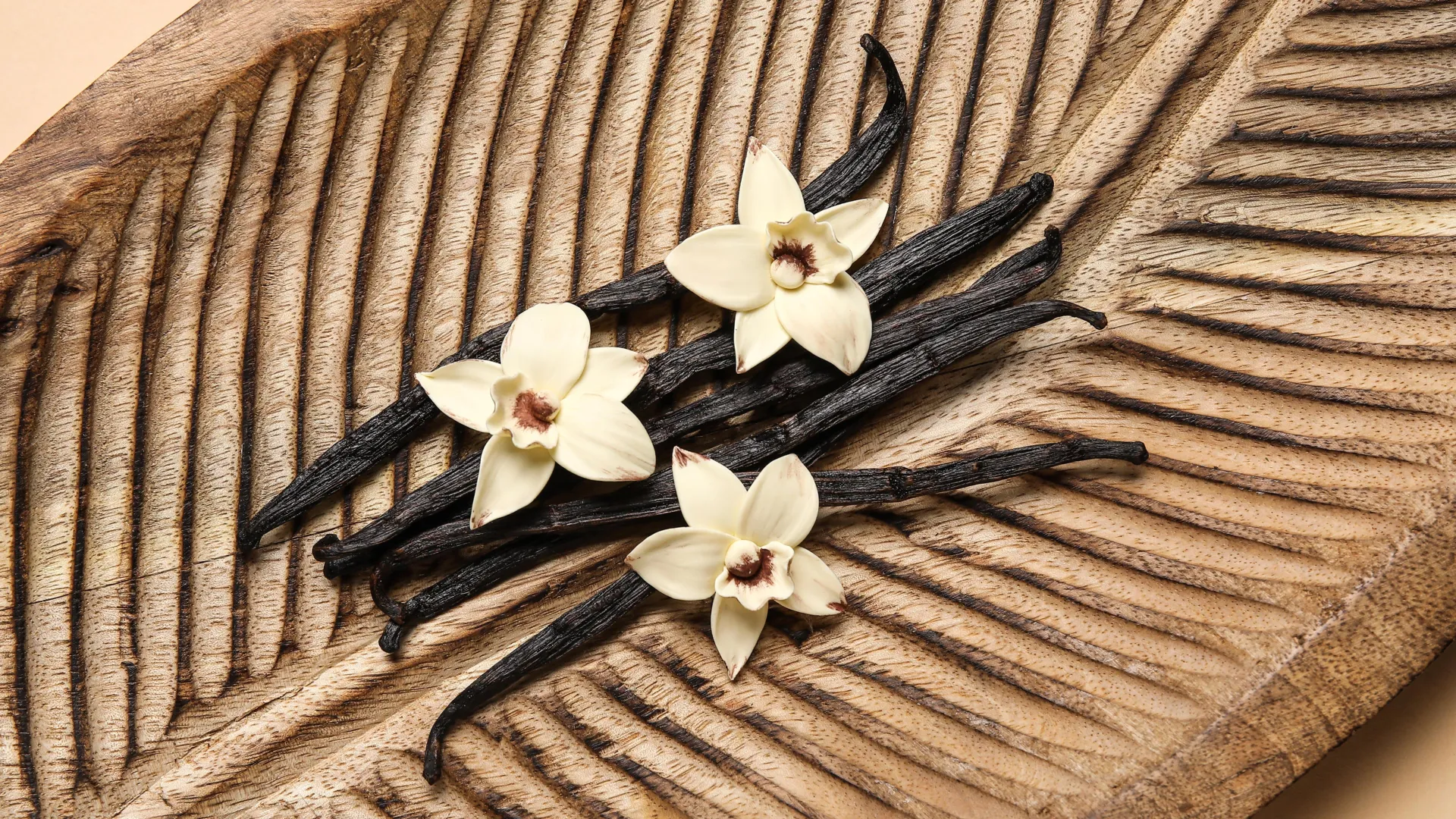 Scientists Find Vanilla’s Healing Potential