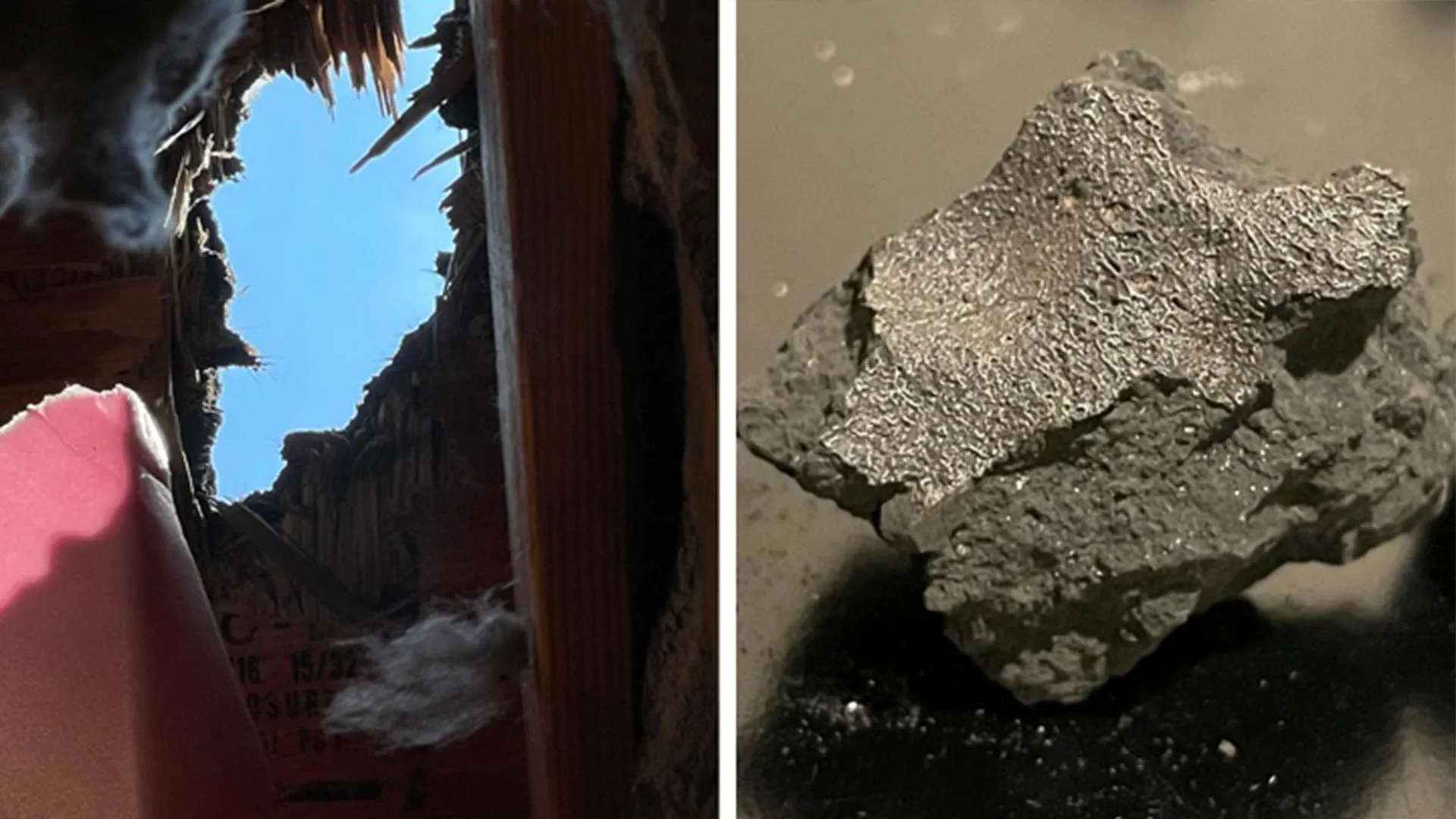 Meteorite Hides Clues to Life’s Origins