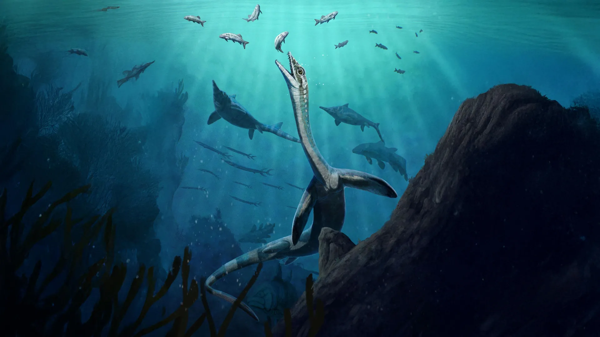 245-Million-Year-Old Fossil Has Organs
