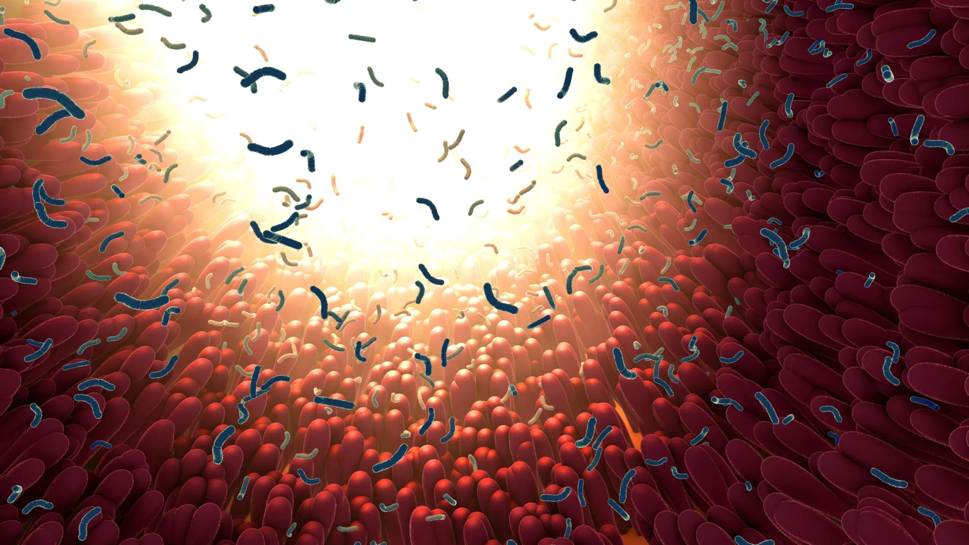 Gut Protein That Traps Harmful Bacteria