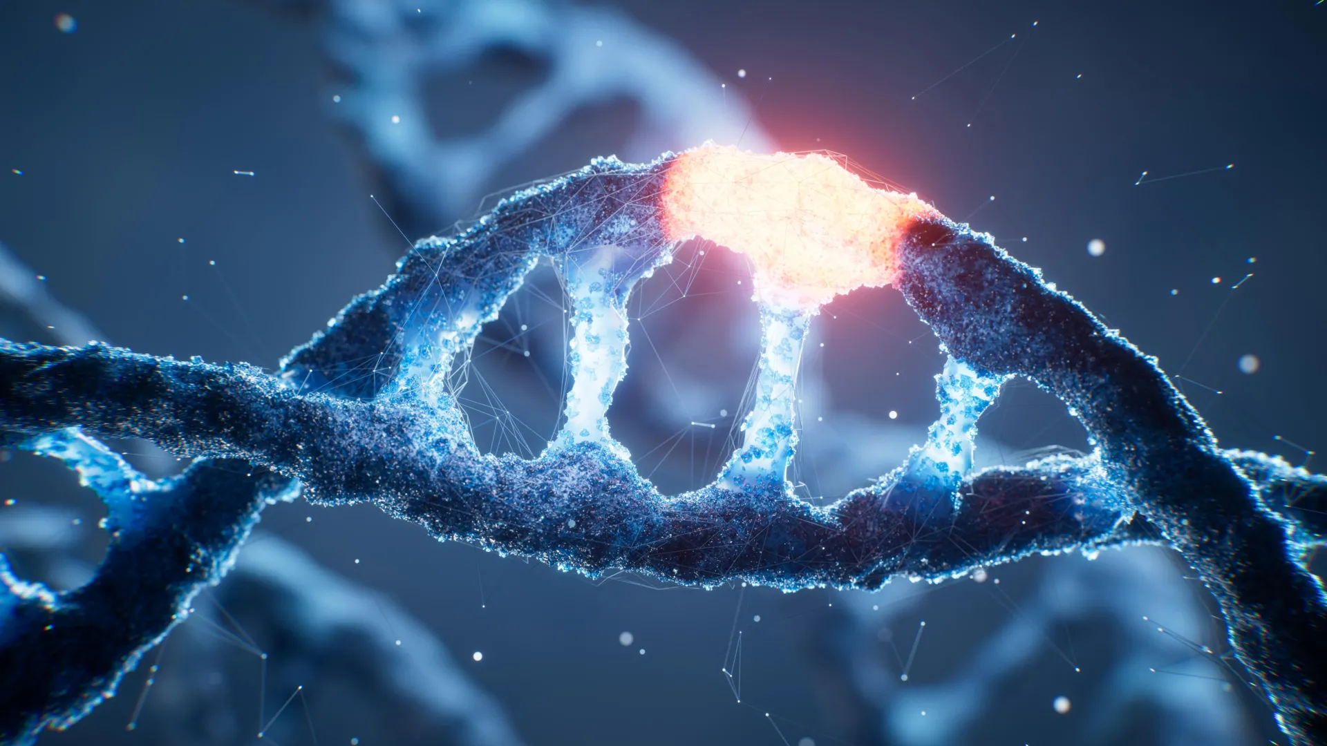 A Hidden “On Switch” in Human DNA