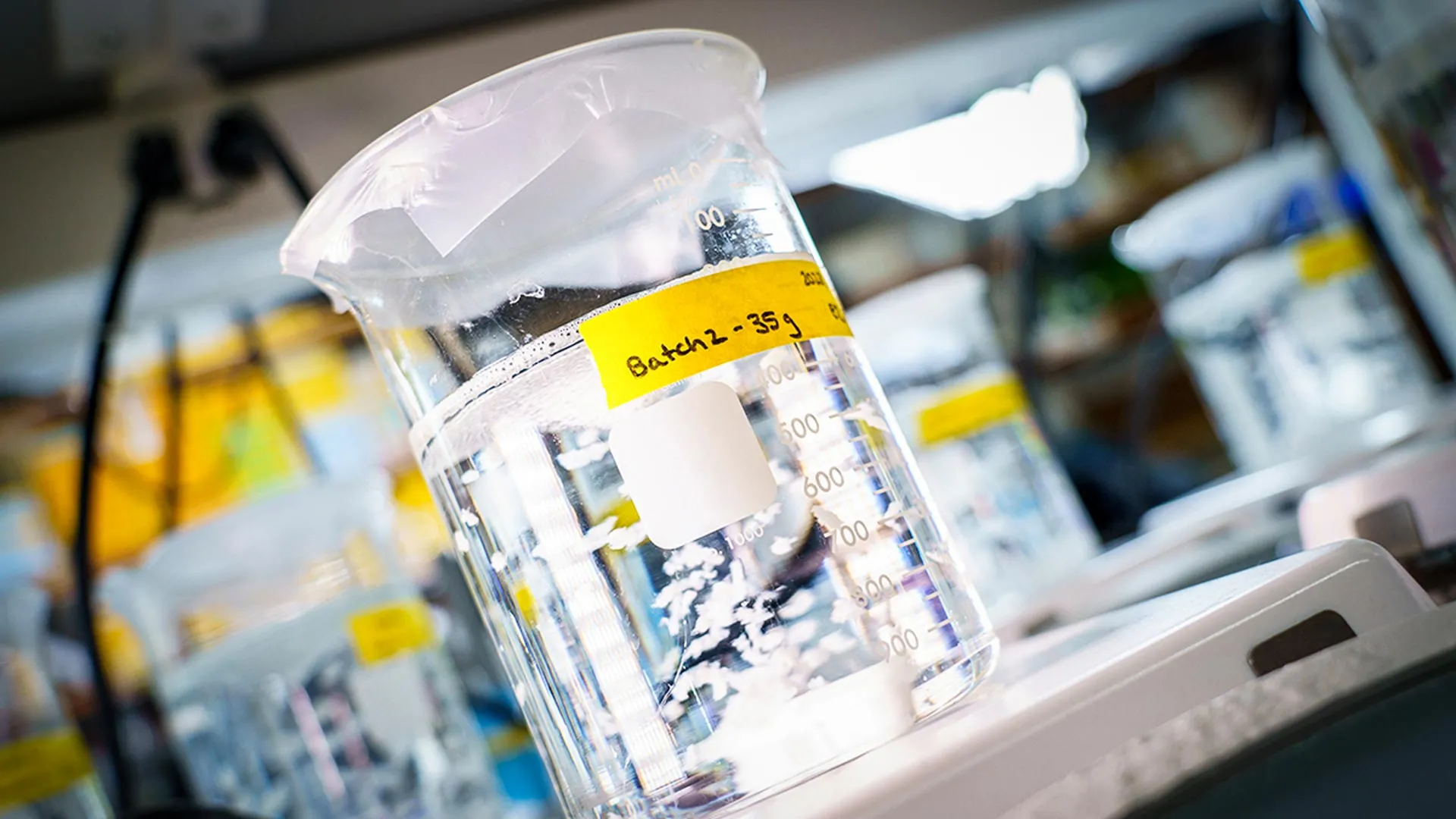 Biomaterial Heals From the Inside Out