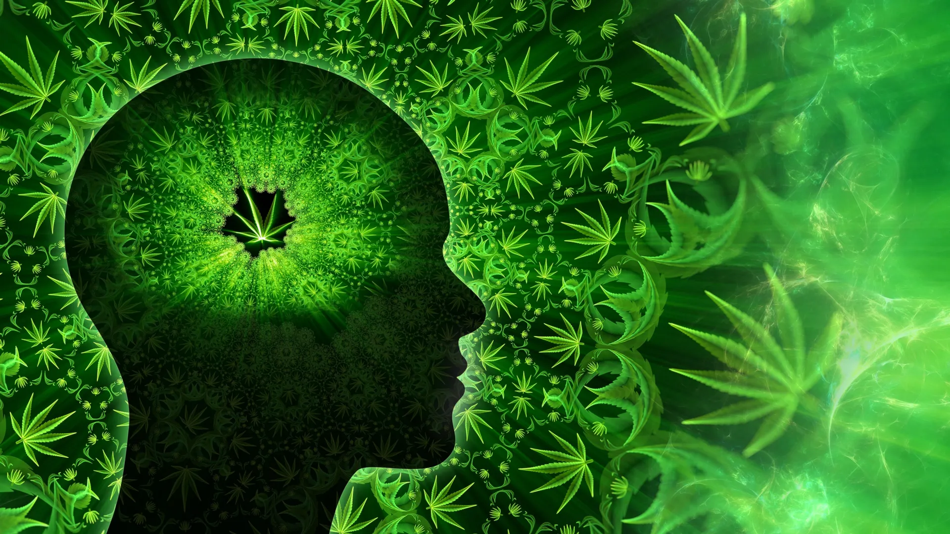 Cannabis and Brain Function: Working Memory