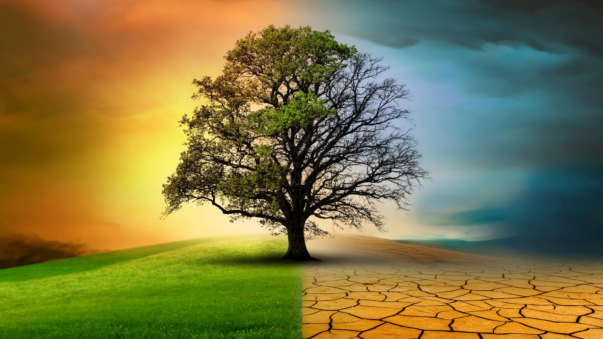 Biodiversity Is Losing Momentum