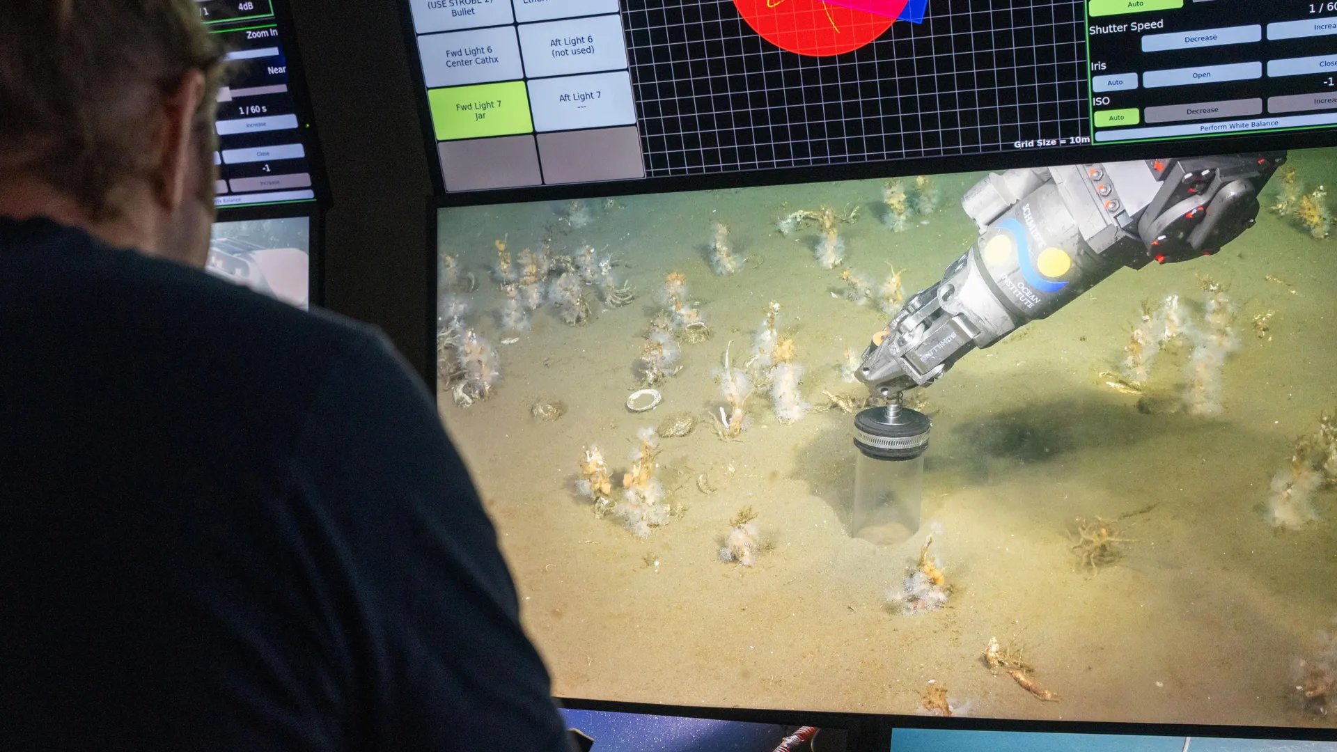 The Oxygen Origin of Complex Life