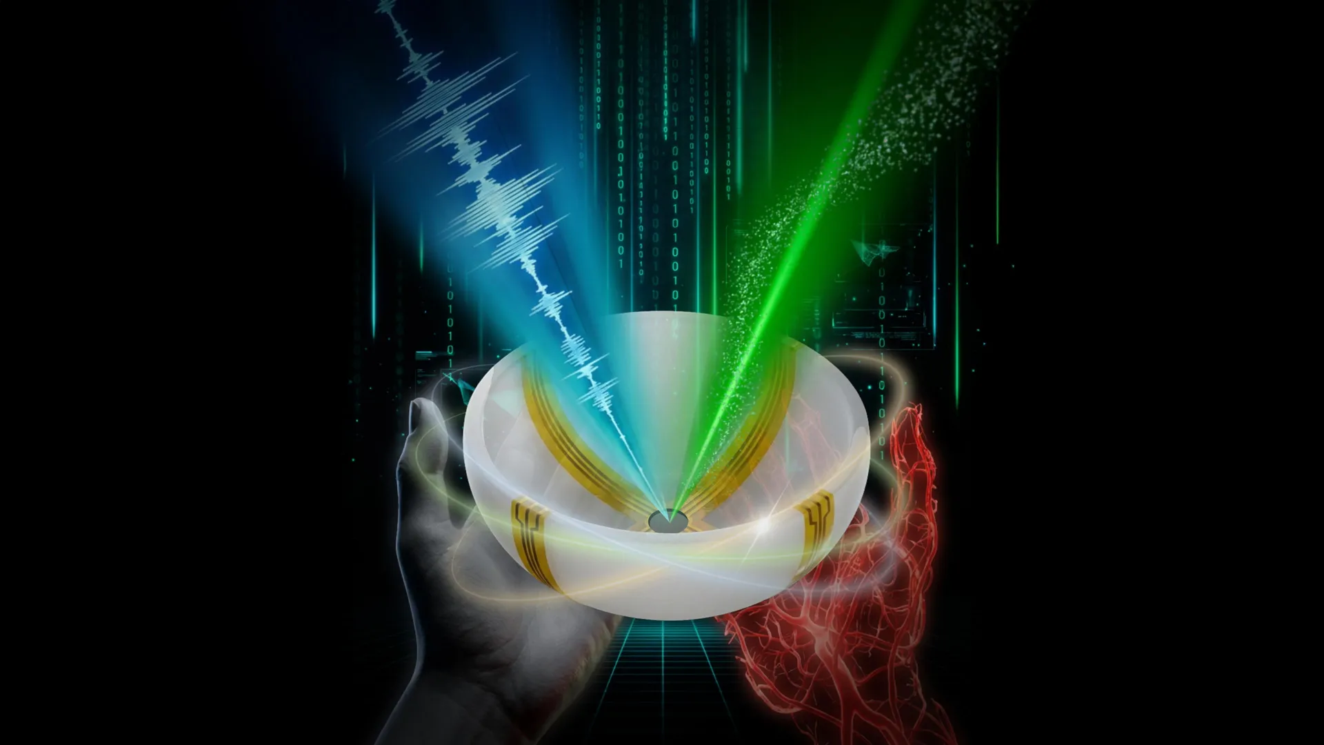 Seeing Inside the Human Body in 3D Color