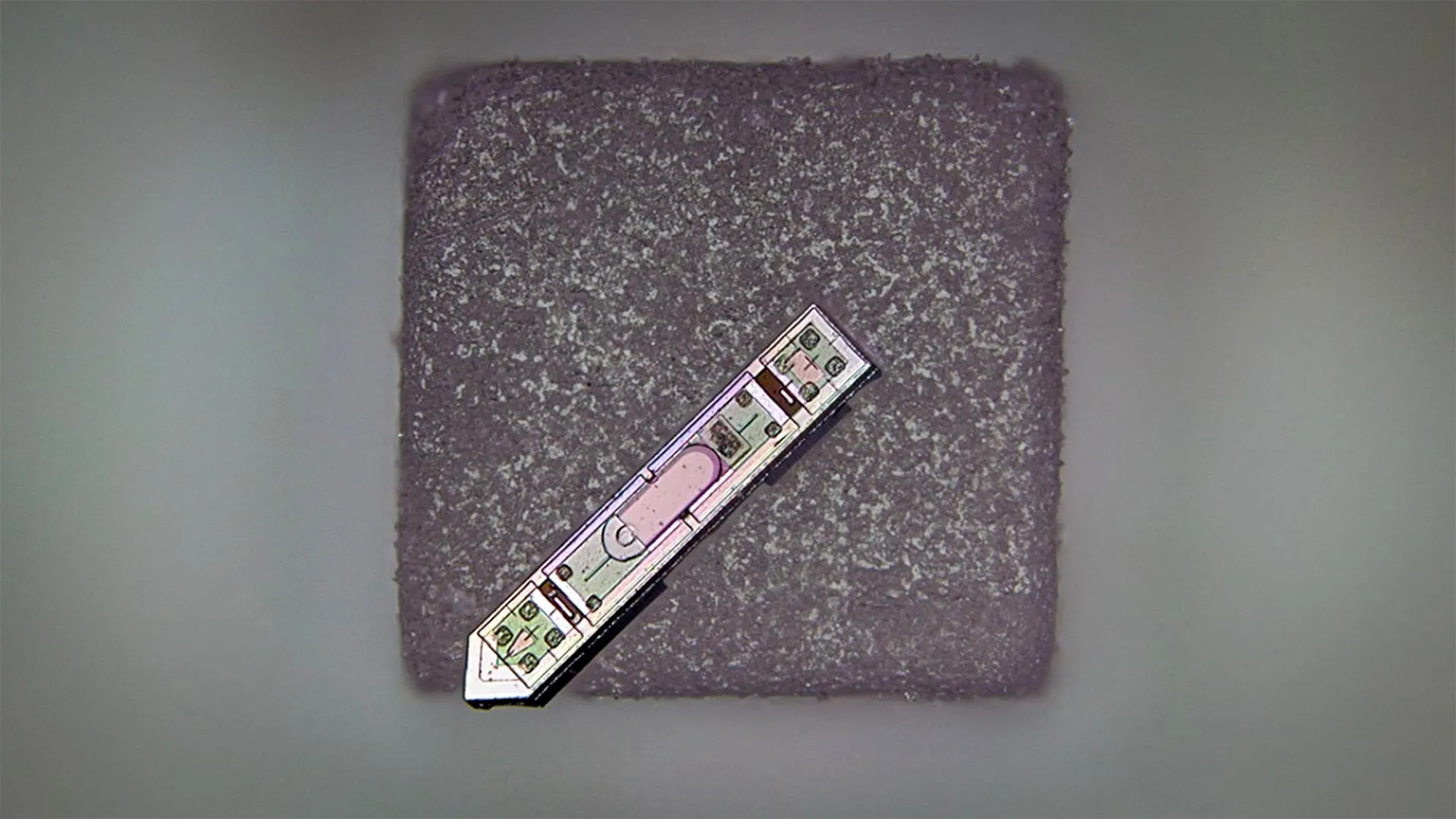 Brain Implant Smaller Than a Grain of Salt