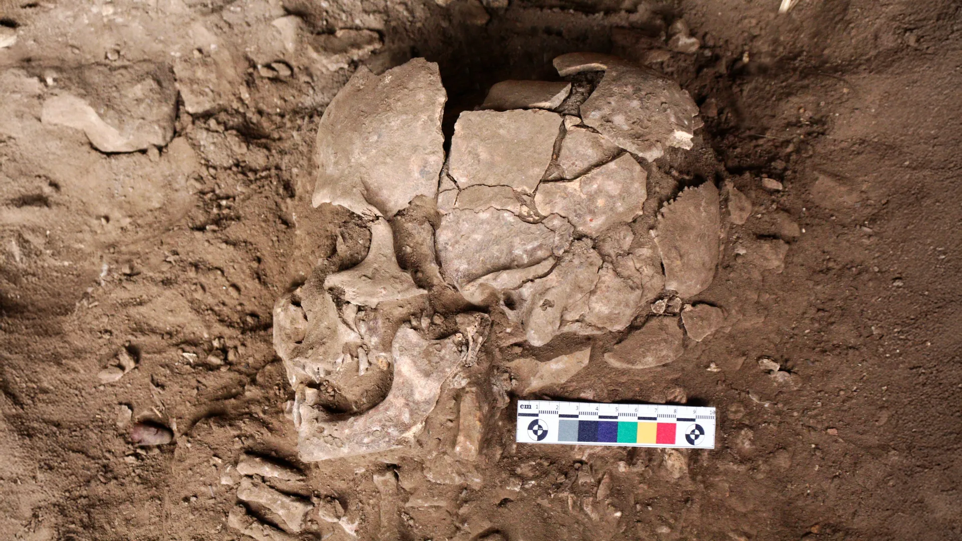 Humans Were Getting High 25,000 Years Ago