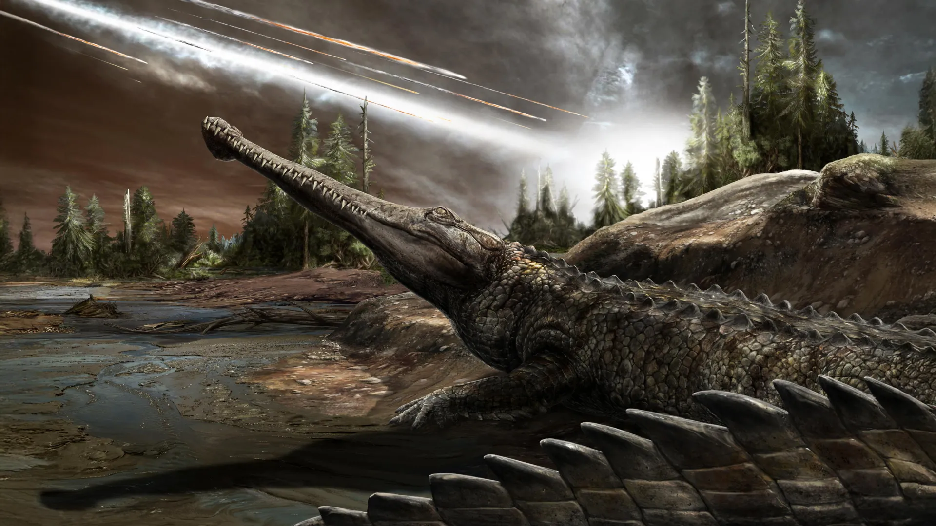 Why Crocodiles Outlived the Dinosaurs