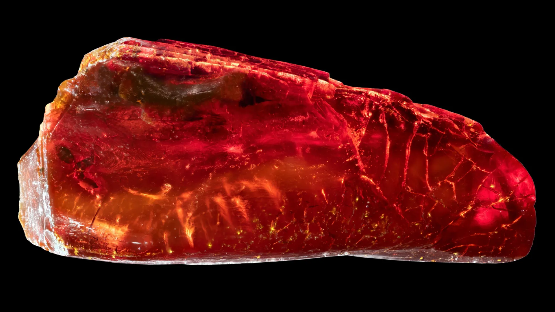 Hidden Fossil Discovered in Goethe’s Amber