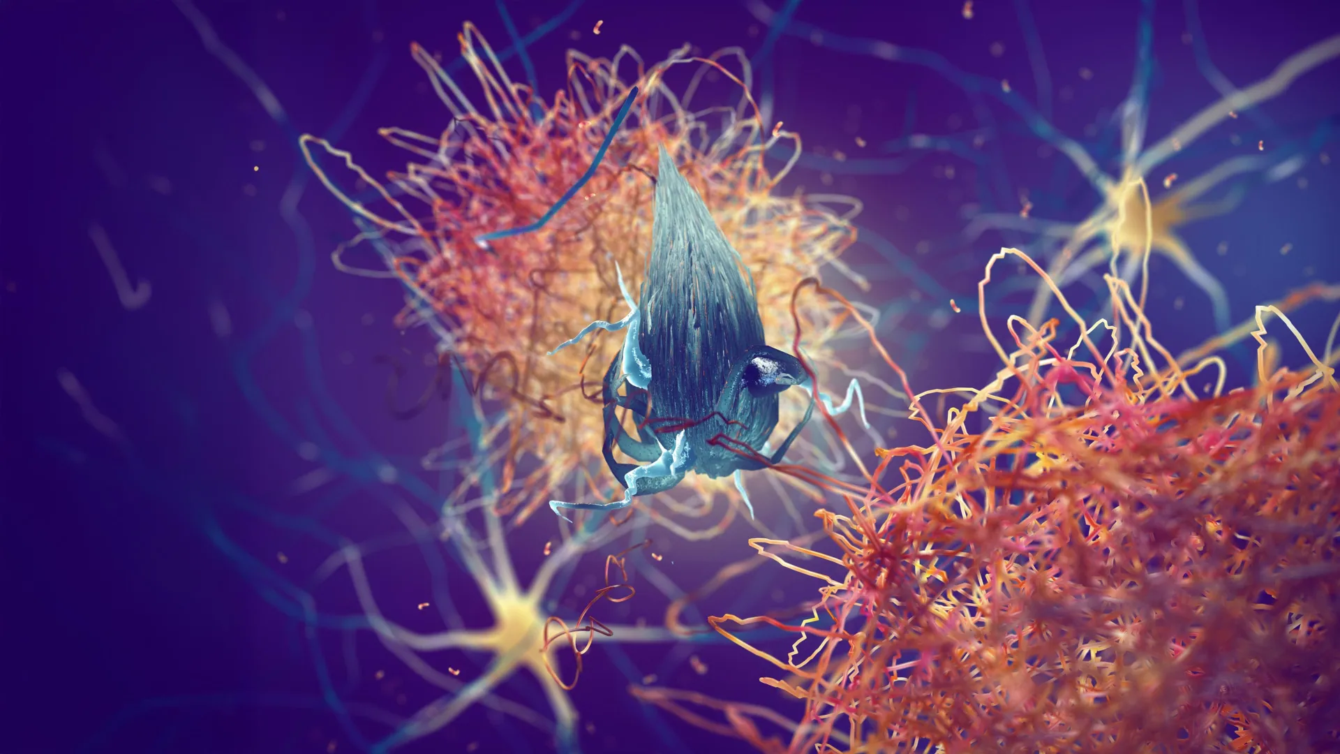 Alzheimer's: How to Clear Toxic Tau Protein