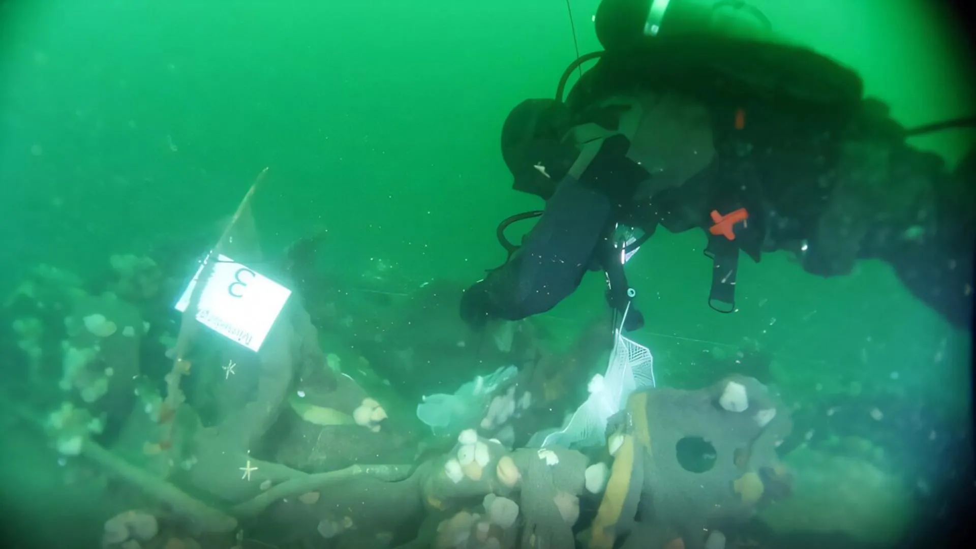 WWI German Submarine Is Still Leaking TNT