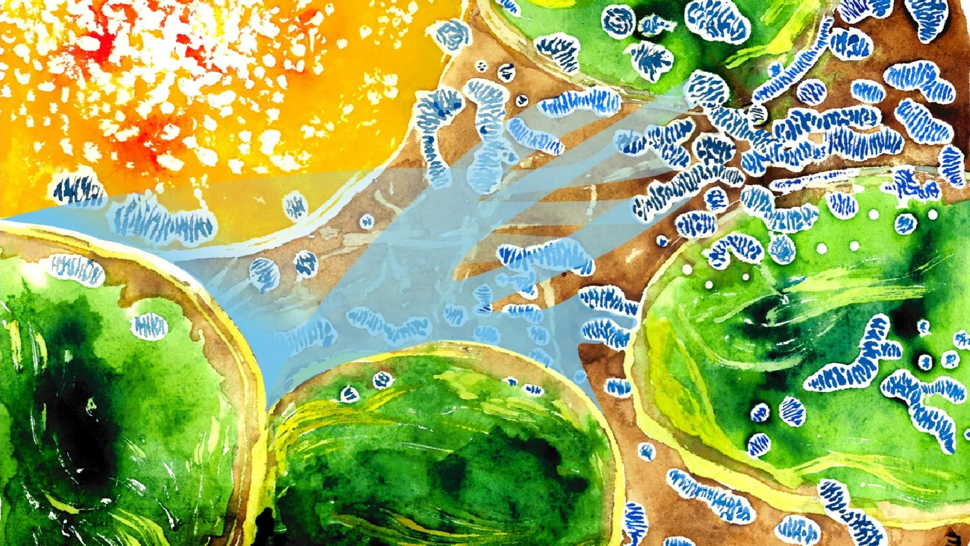 Hidden Oxygen Tug of War in Plant Cells