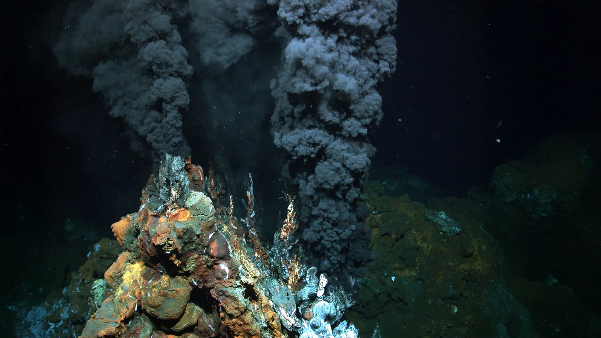 The Hidden Energy Cost of Life