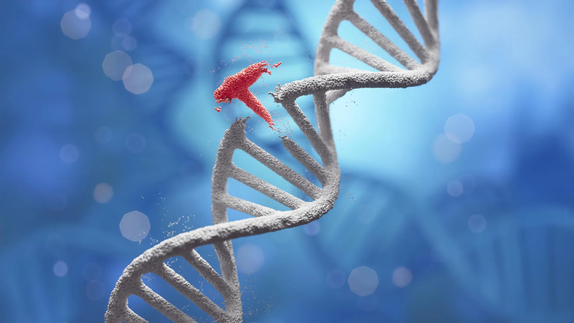 Silver Nanoparticles Boost DNA Assembly