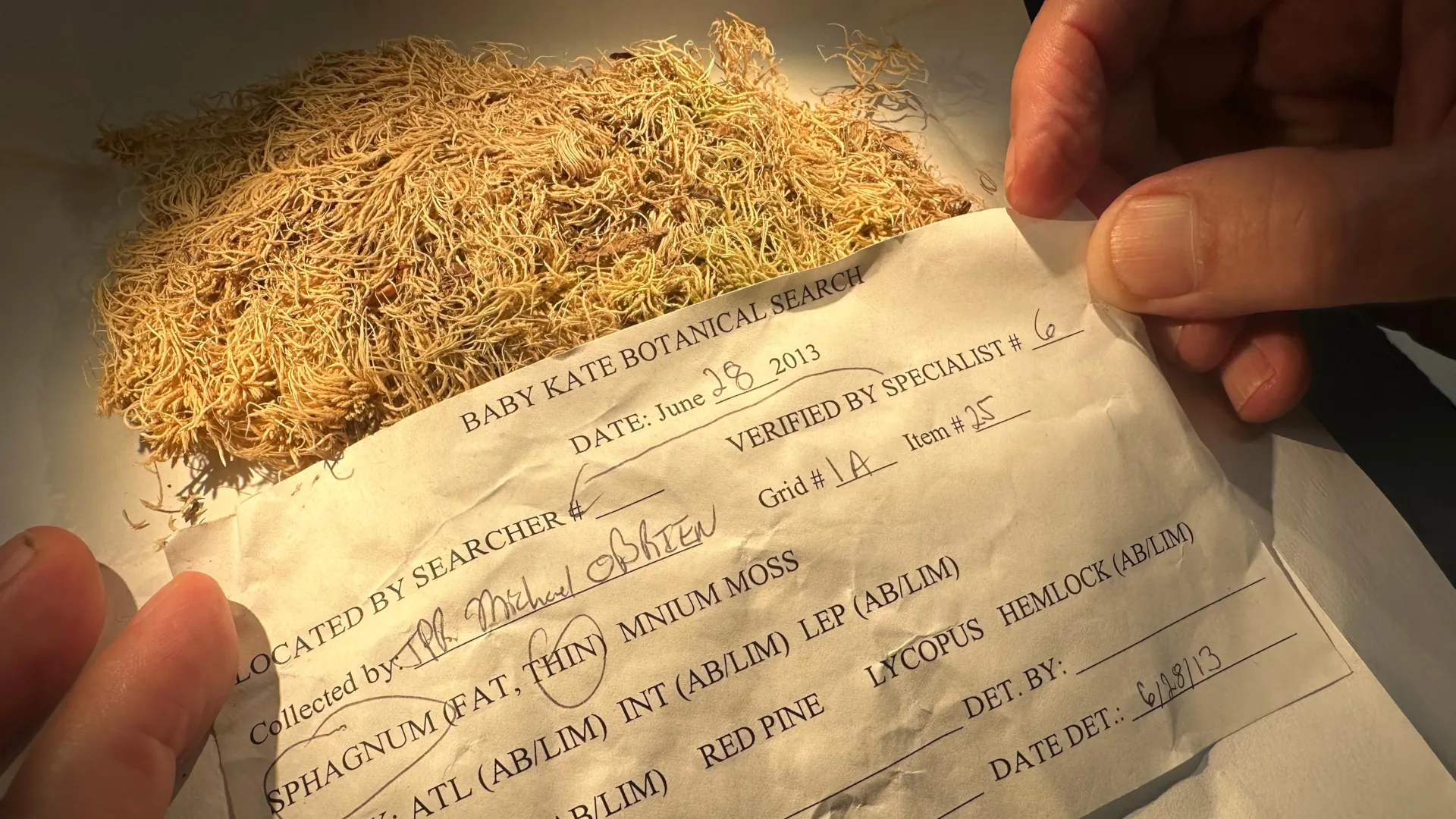 This Tiny Plant Is Helping Solve Crimes