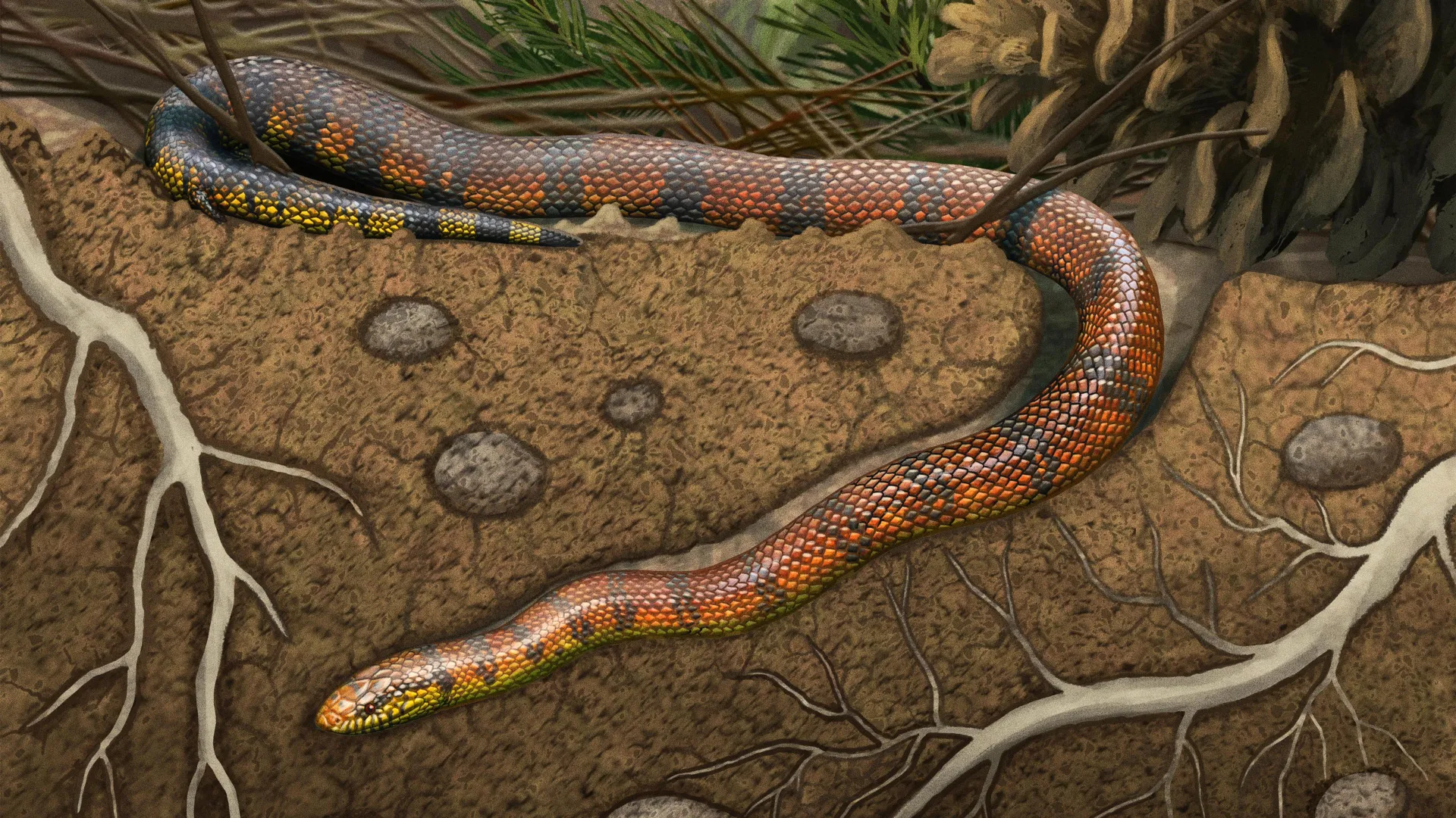 Ancient Snake Brain Reveals a Secret
