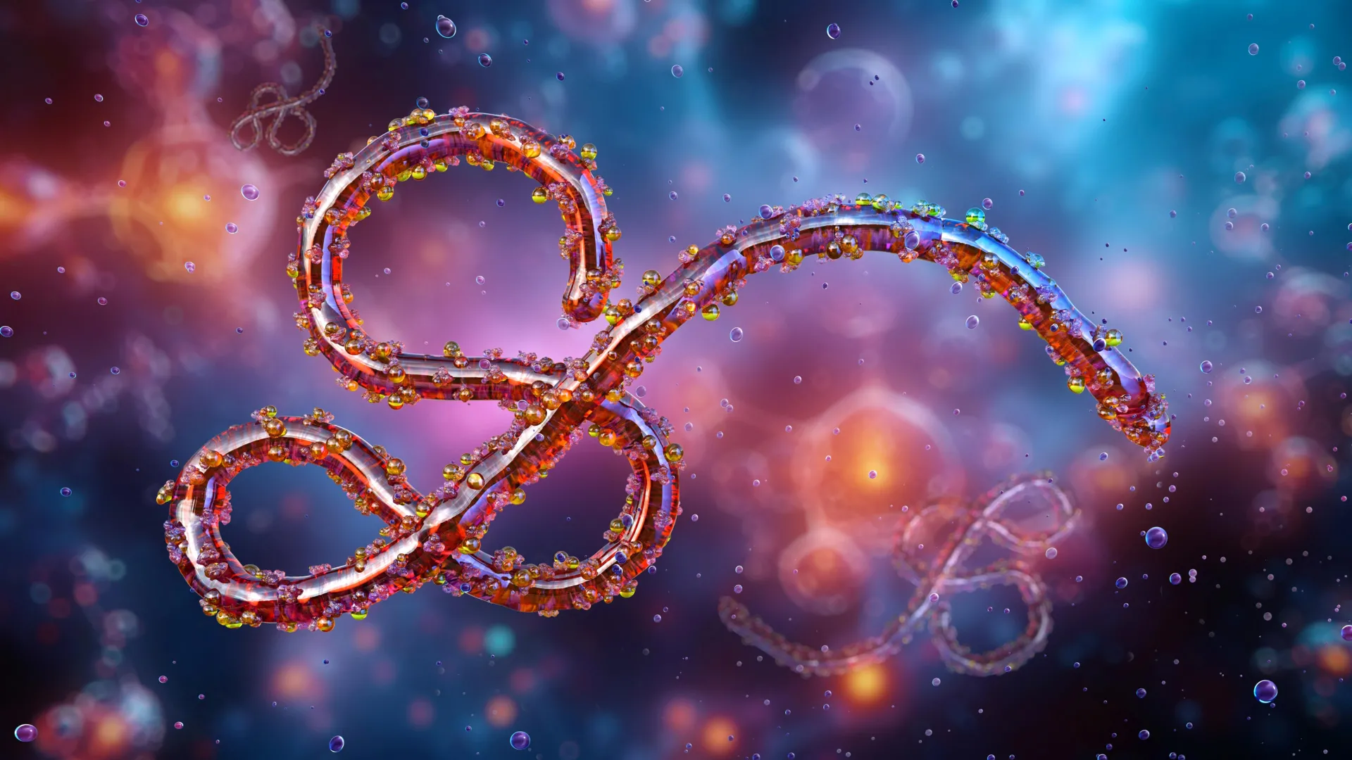 A Deadly Ebola Relative Is Surging