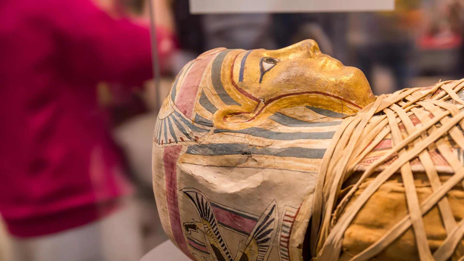 Homer's Iliad Found in Ancient Mummy