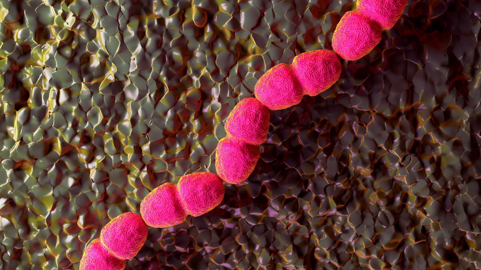 Why Some Wounds Refuse to Heal