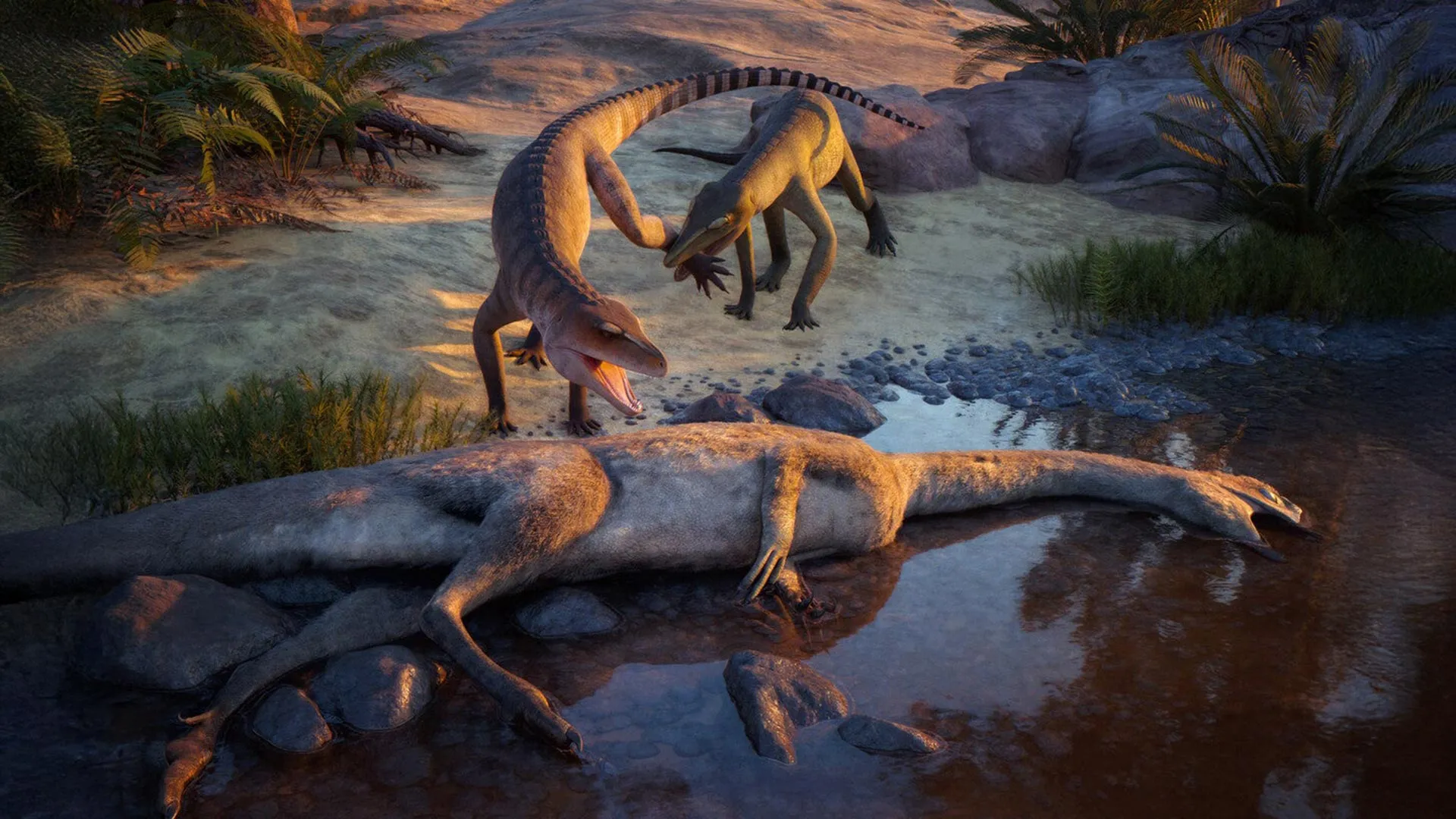 210 Million-Year-Old Predator Found