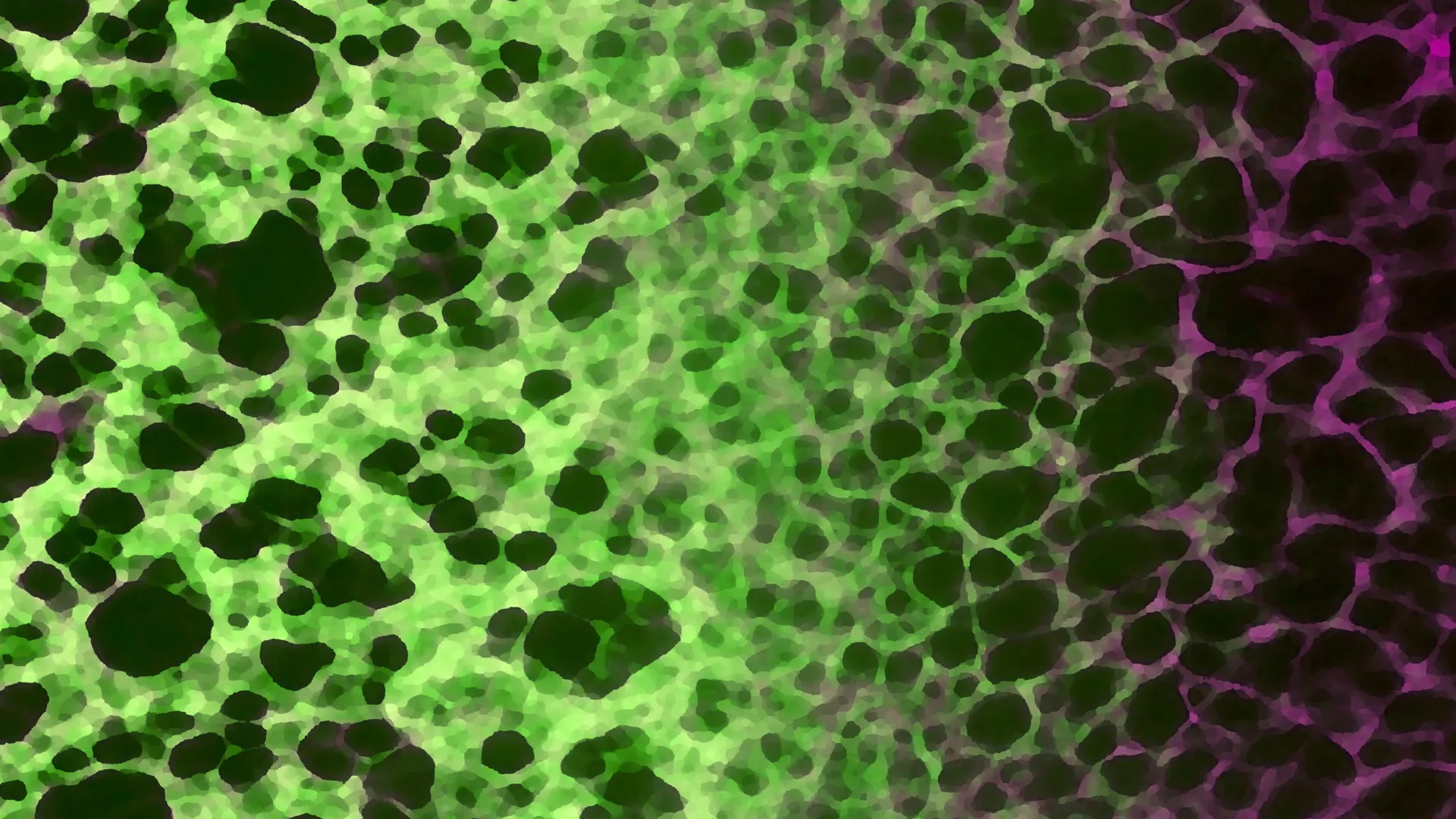 A Quiet Cellular Change Drives Aging