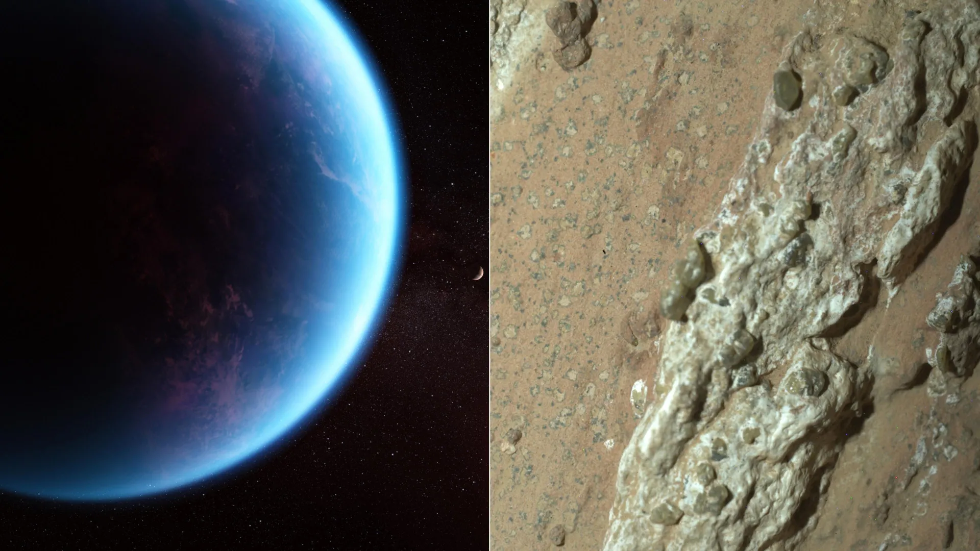 Have We Found Alien Life?